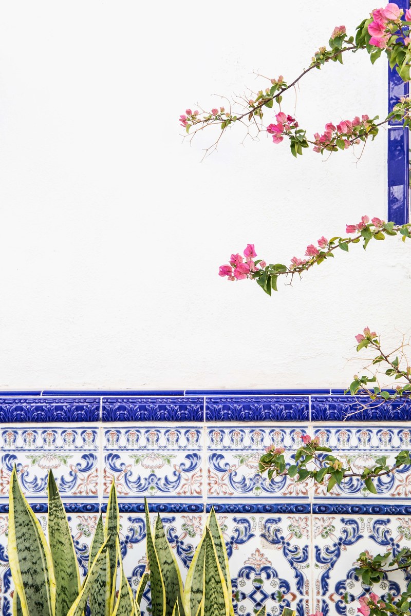 tile pattern branch and ceramic hd, 4k