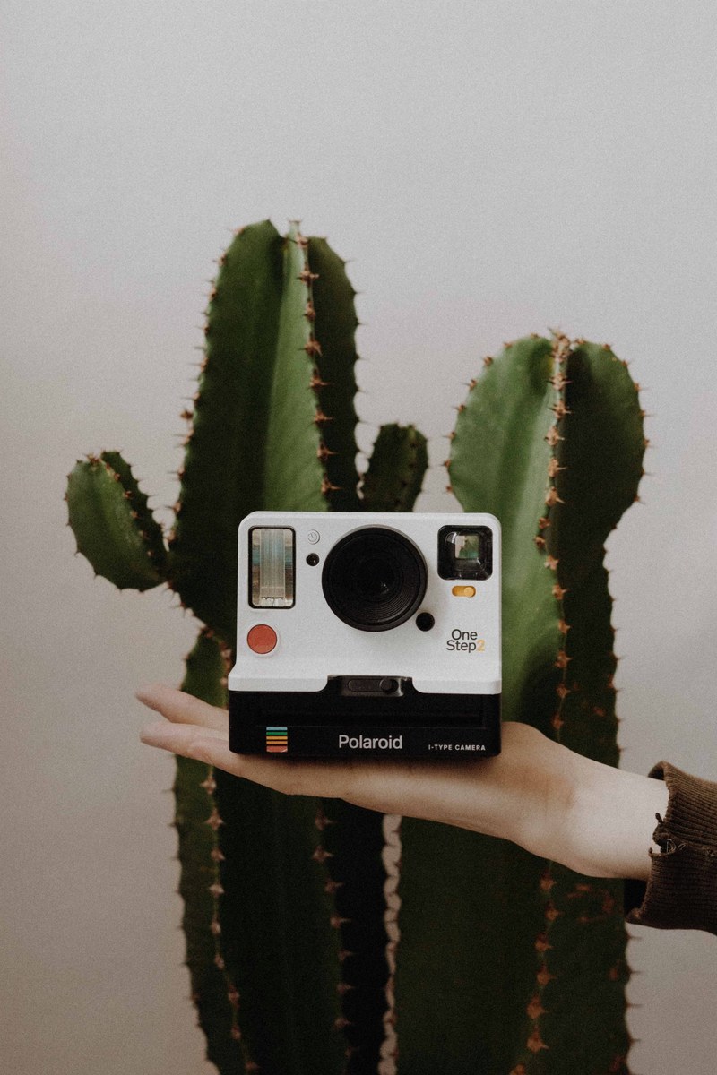 instagram okvisuals 4k