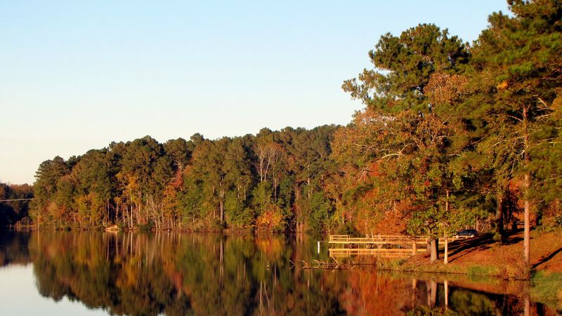 lake, trees, autumn, reflection, 4k