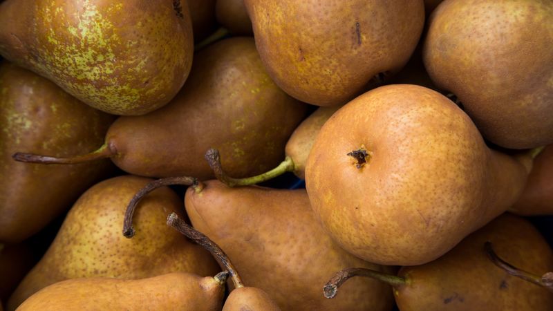 pears, fruit, ripe, 4k