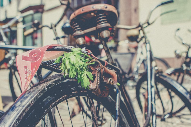 a rusted old bicycle with a brown seat holding a small bag with leaves attached to it in austria, _leaves in bag on bike 4k