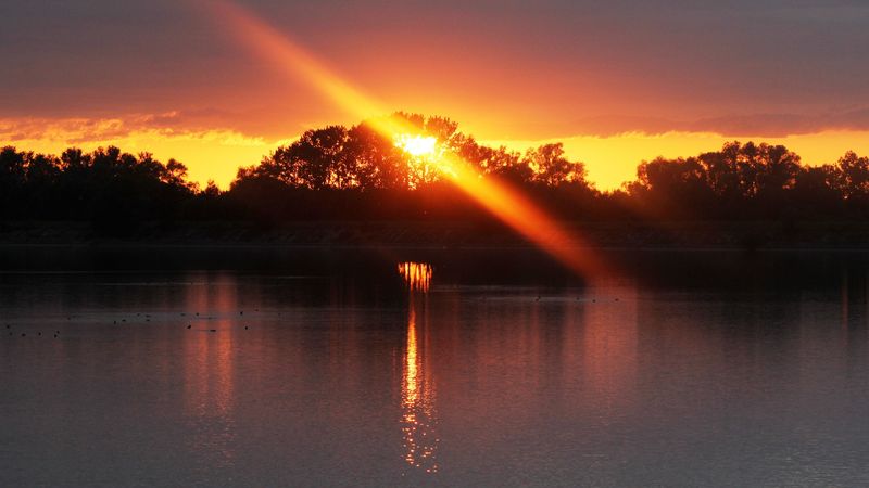 sunset, river, trees, light, 4k