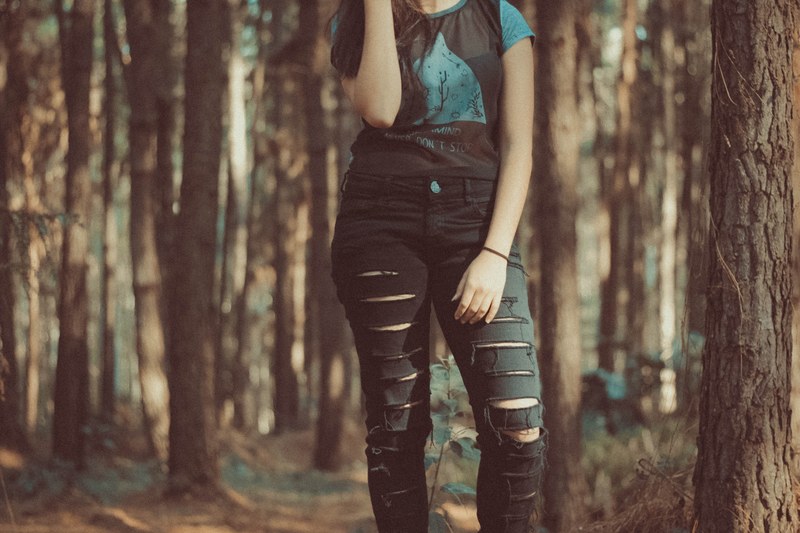 nature vasco vintage and tree 4k