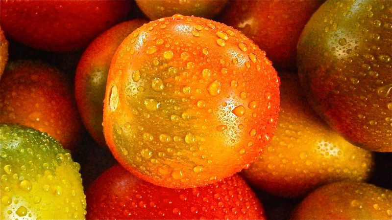 tomato, drop, vegetable, 4k