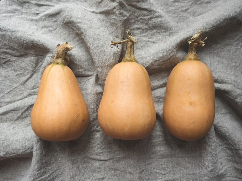 three butternut squash on a gray linen, vegetable garden harvest 4k