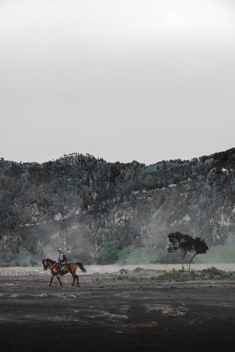 bromo 4k