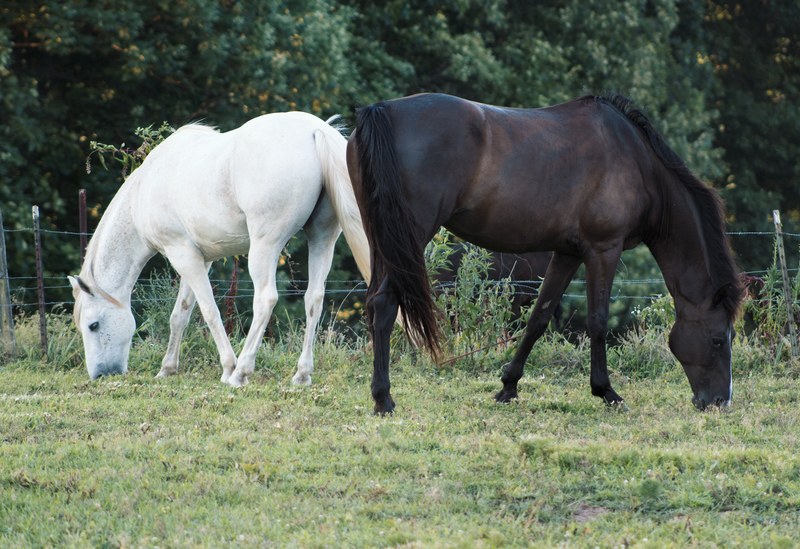 cash and charity 4k