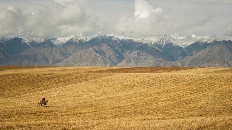 a person on horseback riding through a golden field at the foot of a snow capped mountain range, camping on the shores of lake issyk kul 4k