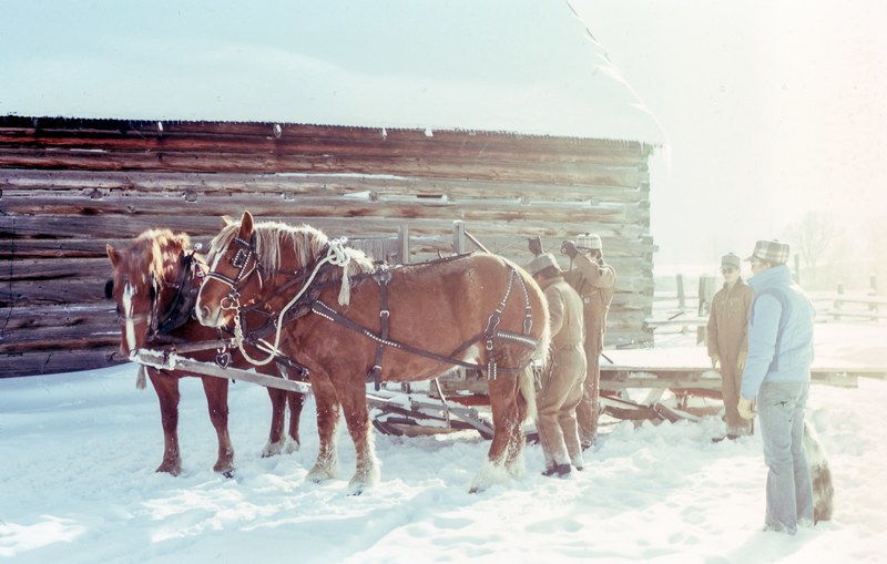 a group of men attaching a sled to brown horses on a thick layer of snow next to a cottage, horse drawn sled during a harsh winter 4k