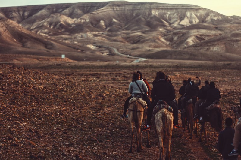 a group of people riding horses through dry wilderness towards a mountain range, rocky desert on horseback 4k