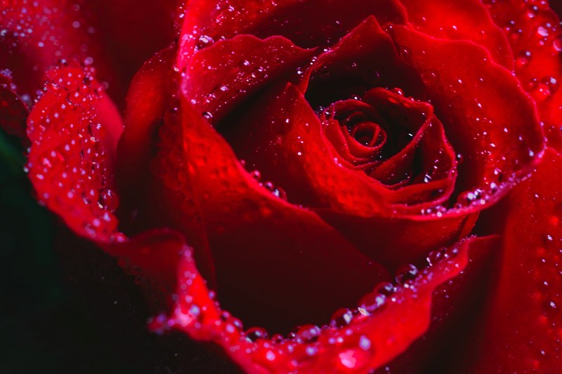 rain wet water and droplet 4k