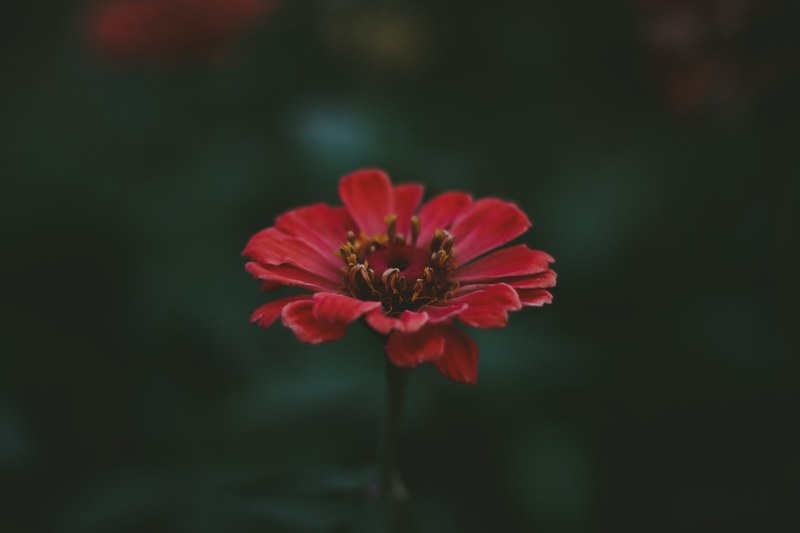 the last breath of summer 4k