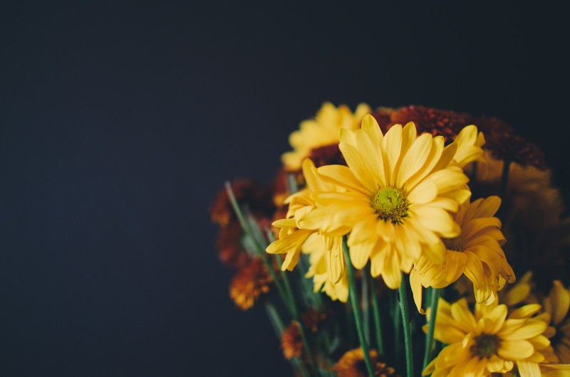 close up of a bouquet with yellow daisy flowers, yellow bouquet in close up 4k