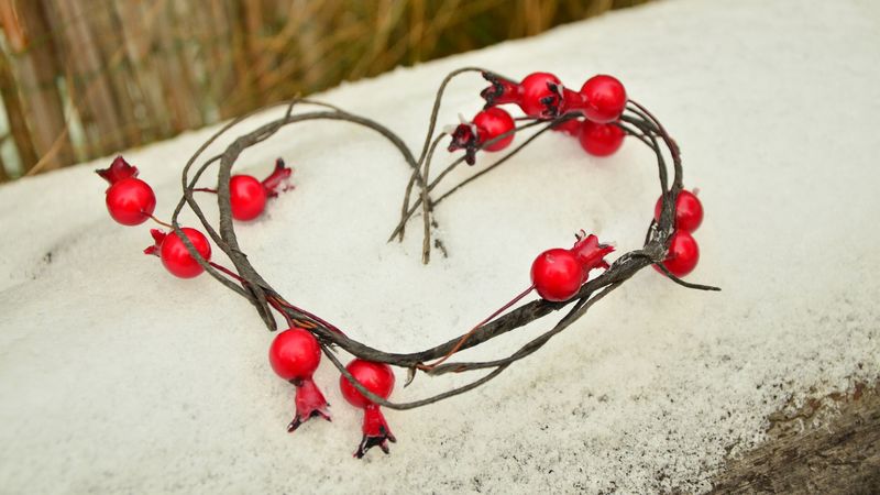 heart, snow, love, berries, 4k