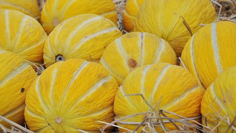melon, fruit, variety, 4k