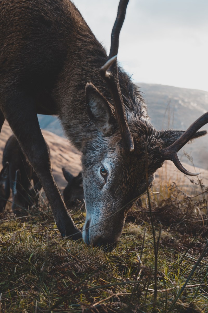 i see you too_ 4k