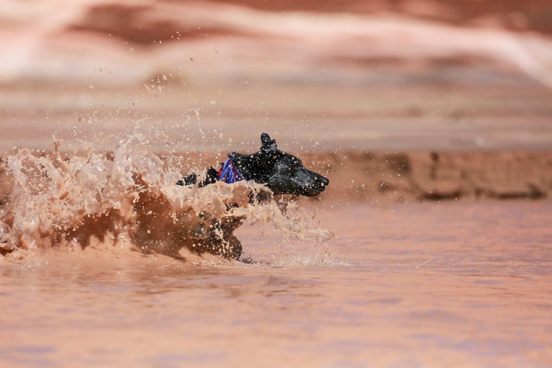 patrick hendry yuki splash 4k