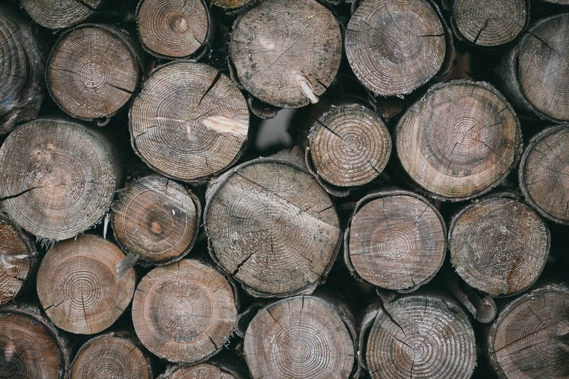 tree log wood and wood pile 4k