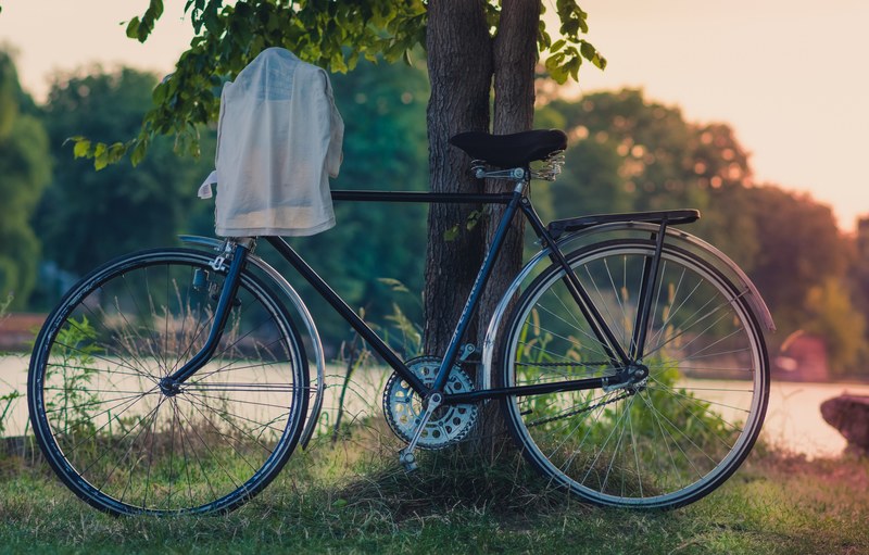 a bicycle leaning against a tree in mogooaia palace, mogooaia palace bicycle 4k