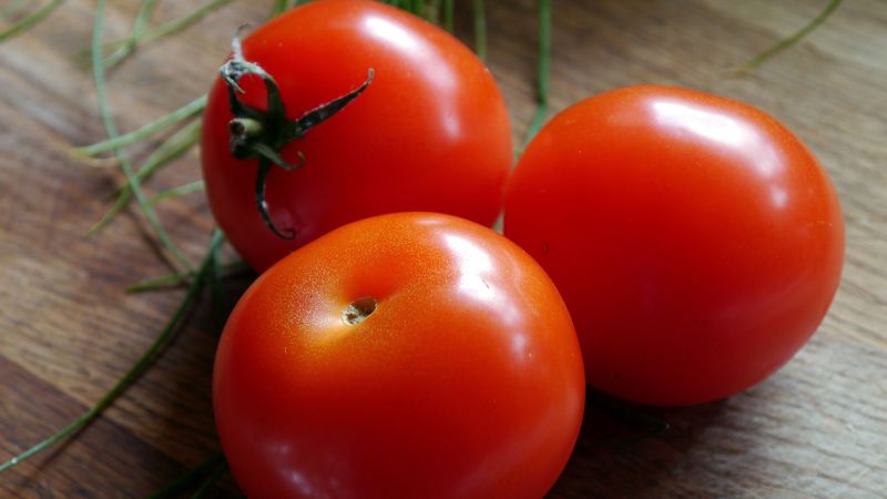 tomatoes, tomato, ripe, vegetable, 4k