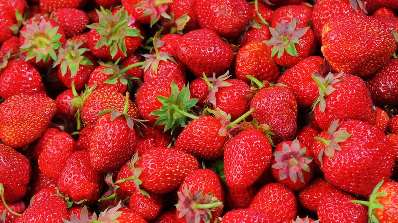 strawberries, berries, ripe, 4k