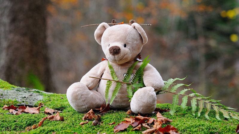teddy bear, bear, toy, grass, 4k