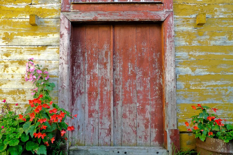 weathered old flower and door 4k