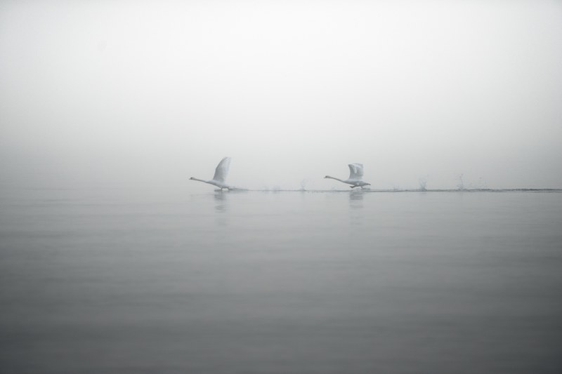 take off 4k