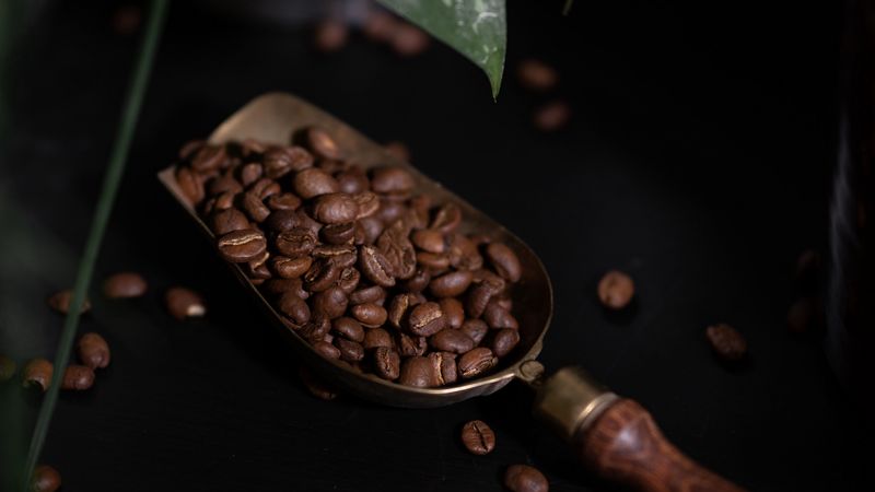 coffee, coffee beans, plant, dark, 4k
