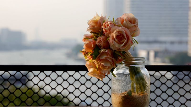 roses, bouquet, flowers, bank, 4k