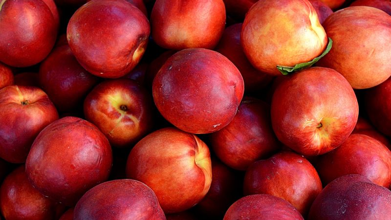 nectarines, fruit, ripe, 4k