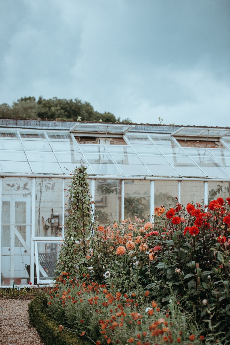greenhouse 4k