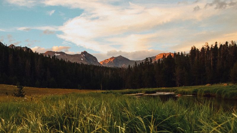 mountains, forest, grass, lake, 4k