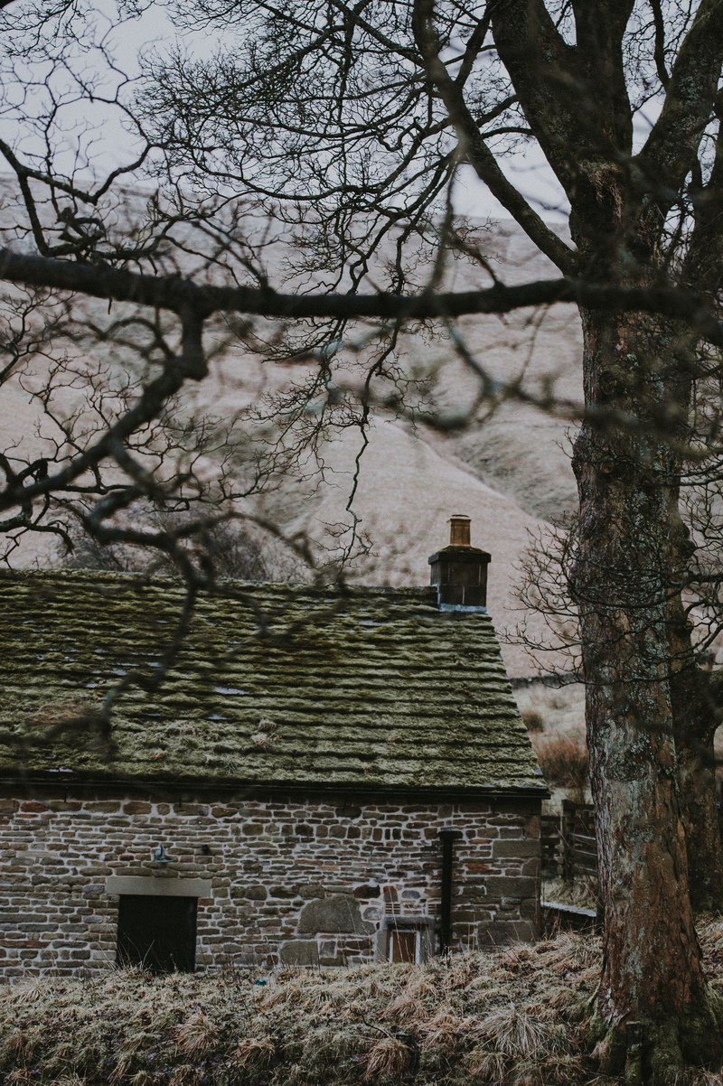cottage with mossy roof 4k