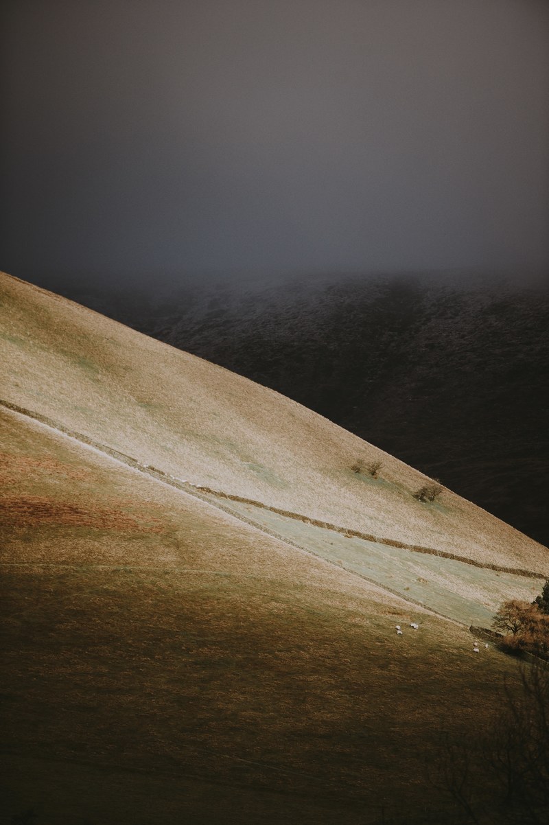 light on the hillside 4k