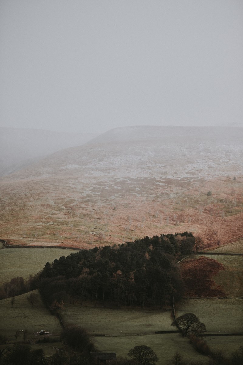 winter tones 4k