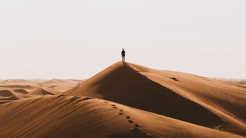 silhouette, desert, sand, 4k
