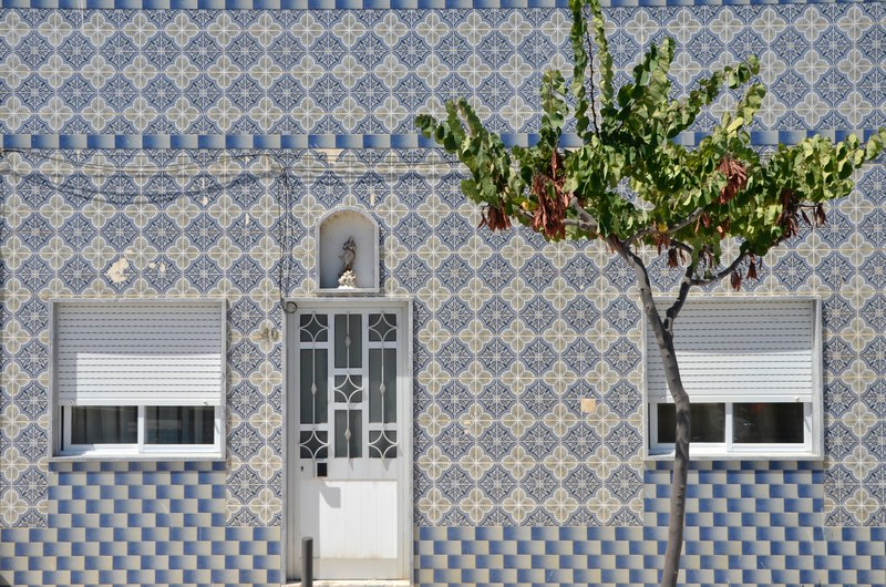 a small tree near a tiled facade with a blue pattern, tiled house front 4k