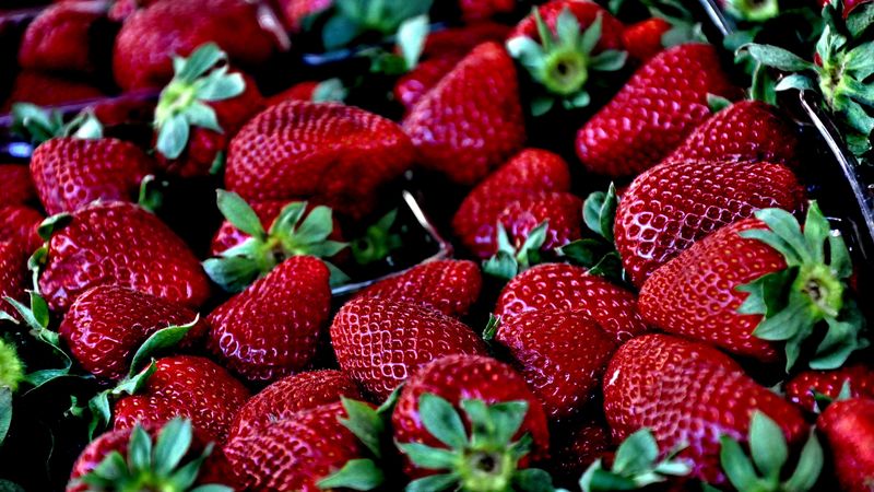 strawberries, berries, ripe, 4k