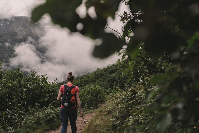 green forest trail and hiking 4k