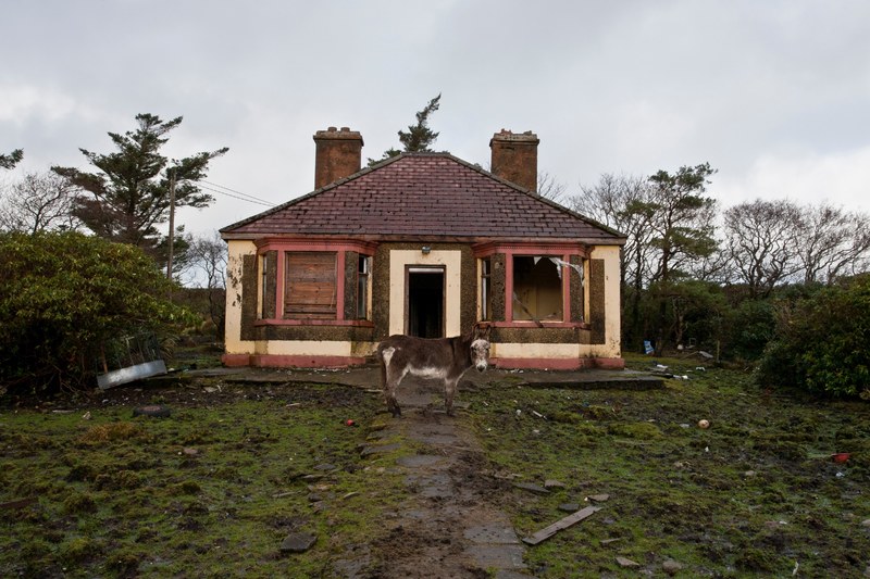 a donkey standing in front of an old single family dwelling with two chimneys overhead, an old house with brick roof 4k