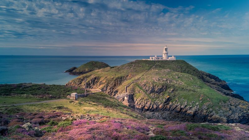 lighthouse, relief, flowers, sea, 4k