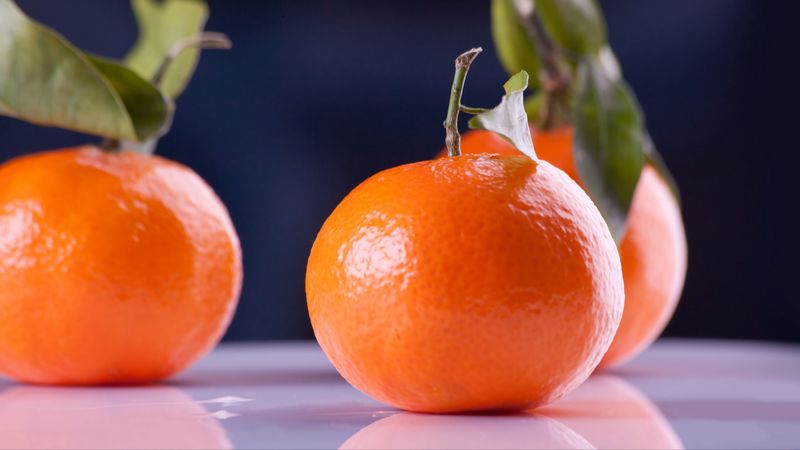 tangerines, fruit, branch, reflection, 4k
