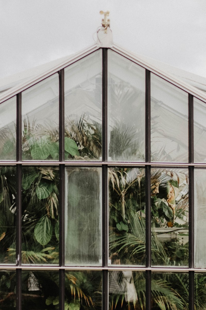 greenhouse 4k