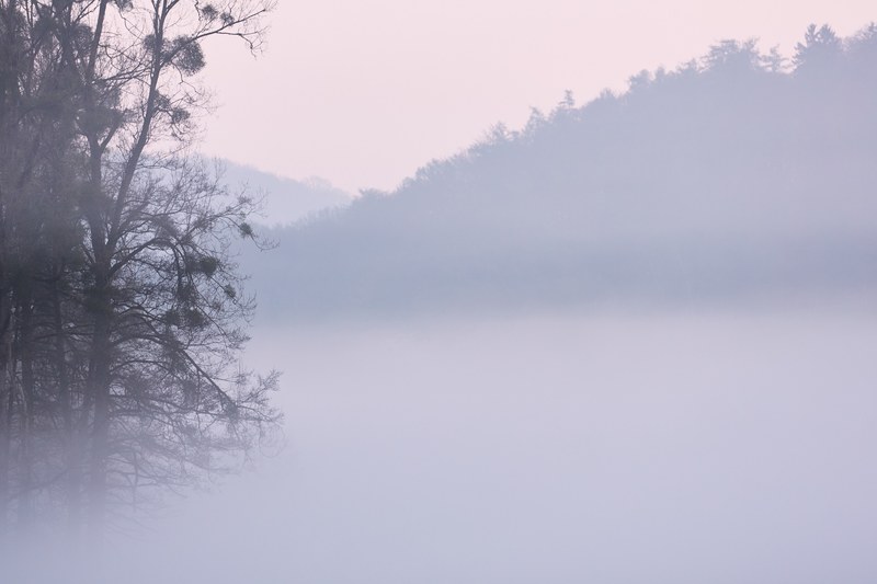 quiet mornings 4k