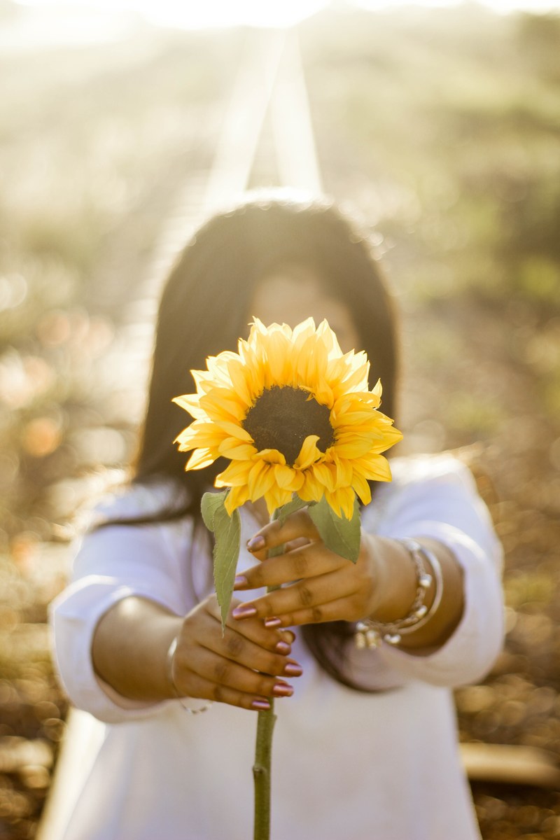 come let it shine 4k