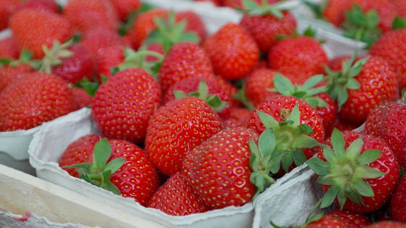 strawberries, berries, ripe, 4k