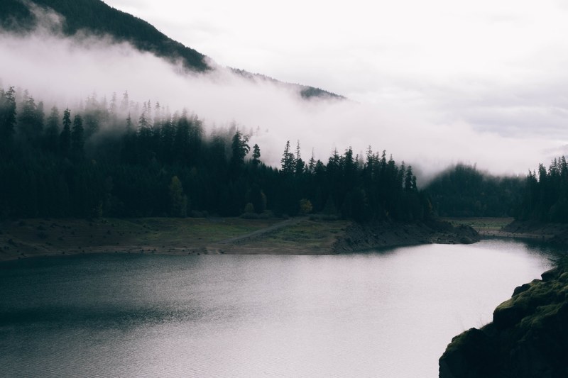 a thick fog envelops a coniferous forest on the river shore, fog over mountain river 4k