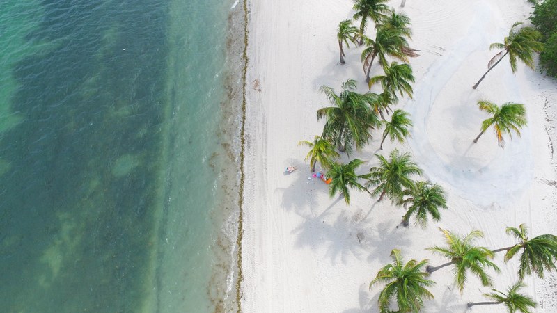 a drone shot of a person relaxing in the shade of palm trees on a white beach, orange beach towel 4k