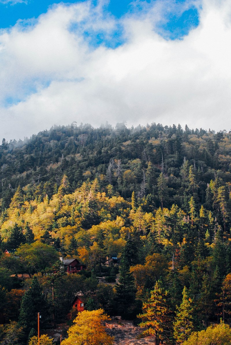 chalets on a forested slope near big bear lake in the autumn, chalets on a wooded slope 4k